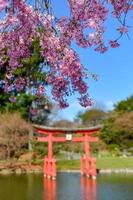 giapponese giardino nel il brooklyn botanico giardino, nuovo York città, Stati Uniti d'America foto