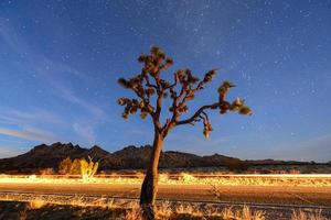 bellissimo paesaggio nel Giosuè albero nazionale parco nel California a notte. foto