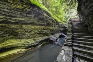 watkins Glen stato parco, nuovo York foto