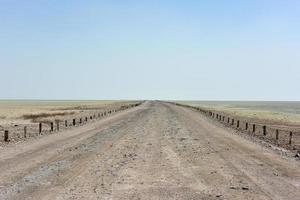 etosha sale padella - namibia foto