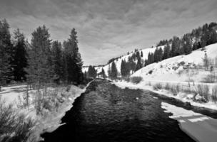 fresco nevoso paesaggio attraverso grigio fiume nel Wyoming, Stati Uniti d'America durante il inverno. foto