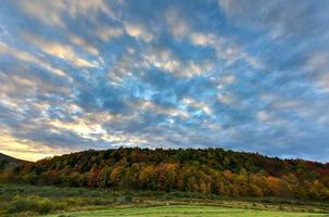 autunno fogliame Vermont foto