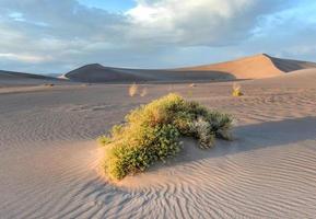 sabbia dune lungo il amargosa deserto a tramonto foto