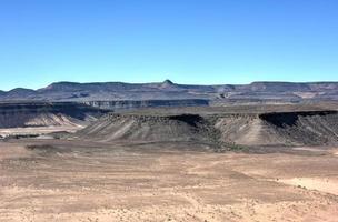 pesce fiume canyon -namibia, Africa foto