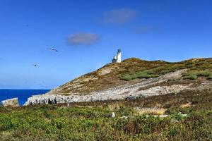 anacapa isola faro con Nidificazione gabbiani a canale isole nazionale parco nel ventura contea California. foto