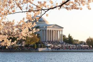 ciliegia fiorire Festival - Washington, dc foto