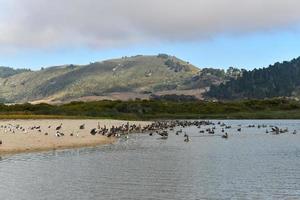 Carmelo fiume stato spiaggia, Carmel-by-the-mare, monterey penisola, California foto