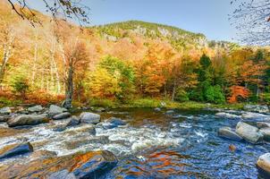 adirondack autunno fogliame, nuovo York foto