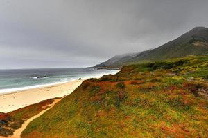 un' bellissimo Visualizza di garrapata stato parco lungo grande su, California nel il Stati Uniti d'America foto