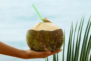 femmina mano con un' Noce di cocco bevanda e palma foglia foto