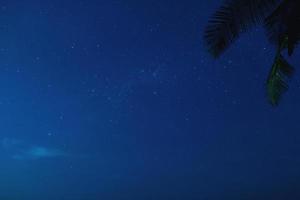 panoramico notte cielo con un' lotto di stelle e palma albero foto