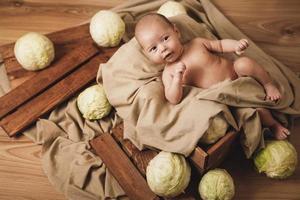 poco bambino è dire bugie nel il scatola con un' lotto di cavoli in giro foto