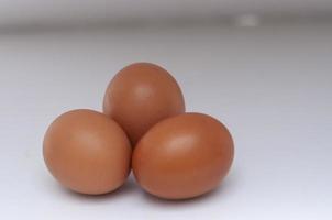 il gruppi di uova isolato su bianca sfondo. foto