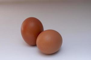il gruppi di uova isolato su bianca sfondo. foto