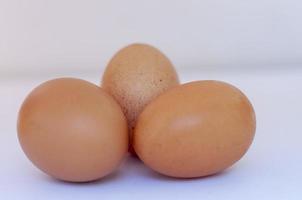 il gruppo di crudo uova isolato su bianca sfondo. salutare vivente concetto foto