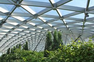 luce del sole attraverso bicchiere trasparente tetto di serra botanico giardino con vario impianti. moderno architettura. giardinaggio nel città e Salvataggio natura risorse concetto. foto