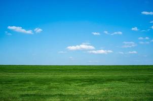 meraviglioso rurale paesaggio.campo con verde fresco erba contro un' blu cielo e bianca nuvole, su un' primavera giorno. bellissimo immagine. foto