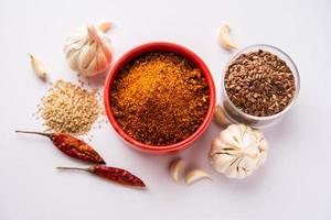 jawas o javas chutney fatto utilizzando lino semi, semi di lino polvere, aglio, rosso freddo, indiano gusto foto