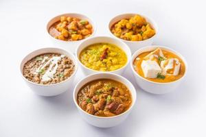 gruppo di indiano vegetariano piatti, caldo e speziato punjabi cucina pasto assortimento nel ciotole foto