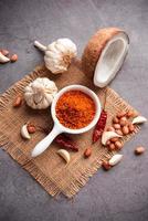 asciutto aglio chutney fatto a partire dal rosso freddo e asciutto Noce di cocco e lahsun quale è famoso nel Maharashtra foto