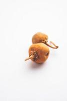 ayurvedico choti Kateli anche conosciuto come cantkar o Solanum surattense secco e polvere modulo foto