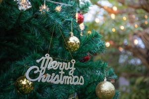 allegro Natale logo su il albero per natale tempo foto