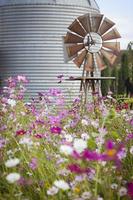 antico azienda agricola mulino a vento e silo nel un' fiore campo foto