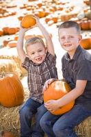 Due ragazzi avendo divertimento a il zucca toppa su un' autunno giorno. foto