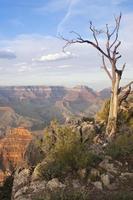 bellissimo mille dollari canyon paesaggio Visualizza foto