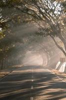 il Alba come esso sorge nel il nebbioso mattina di inverno foto