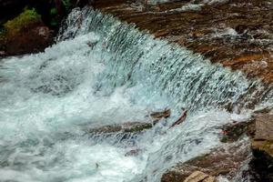 piccolo montagna cascata foto