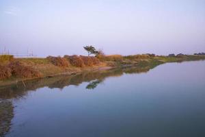 arial Visualizza canale con verde erba e vegetazione riflessa nel il acqua nelle vicinanze padma fiume nel bangladesh foto