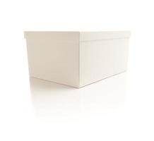 bianca scatola con coperchio isolato su sfondo foto