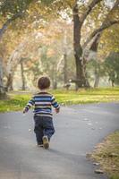 giovane bambino ragazzo a piedi nel il parco foto