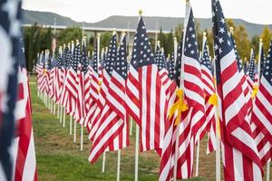 campo di veterani giorno americano bandiere agitando nel il brezza. foto