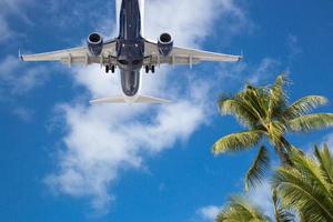 parte inferiore Visualizza di passeggeri aereo volante al di sopra di tropicale palma alberi foto