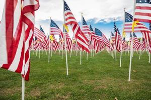 campo di veterani giorno americano bandiere agitando nel il brezza. foto