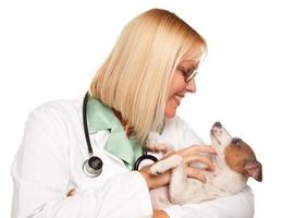 attraente femmina medico veterinario con piccolo cucciolo foto