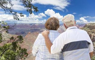 contento anziano coppia guardare su al di sopra di il mille dollari canyon foto