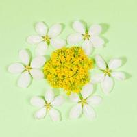 primavera fondale con forma fiore di cui su di bianca Mela albero fiori e giallo acacia su dolce verde. superiore Visualizza. foto