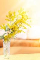 giallo mimosa ramo nel vaso nel illuminata dal sole vivente camera. 8 marzo, compleanno, San Valentino giorno, Pasqua. foto