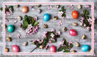 Pasqua festivo disposizione di rosa Mela albero ramoscelli, Quaglia e colorato gallina uova su di legno tavolo con rosa raggiante telaio. foto