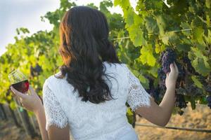 giovane adulto donna godendo un' bicchiere di vino nel vigneto foto