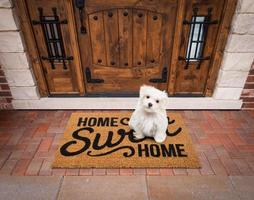 maltese cucciolo seduta casa dolce casa benvenuto stuoia a davanti porta di Casa. foto