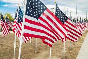 campo di veterani giorno americano bandiere agitando nel il brezza. foto