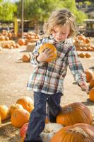 poco ragazzo Tenere il suo zucca a un' zucca toppa foto