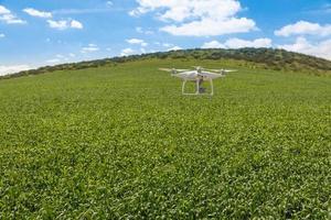 fuco senza equipaggio aereo volante e raccolta dati al di sopra di nazione terreni agricoli foto