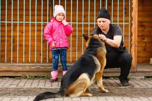 il uomo affetti il cane, obbediente e amorevole cane, prigioniero cani Tirare loro teste attraverso il barre, il giovane uomo feed un' cane, il uomo è formazione foto