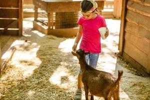 un' poco ragazza feed un' capra a un' figli di petting zoo foto