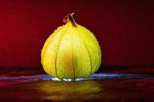 physalis su nero bagnato suolo con rosso sfondo. illuminato frutta. vitamina c ricco foto